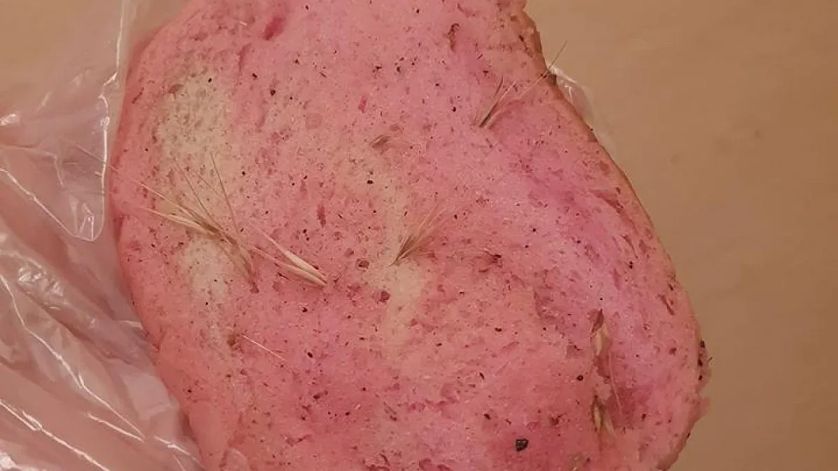 Тровят кучета с розов хляб във Варна