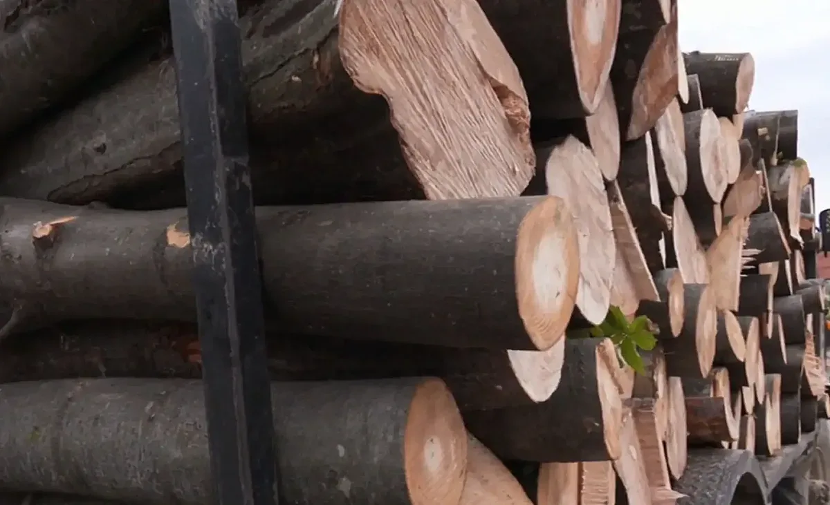 Поскъпване и несигурни сметки. Юрнаха се да купуват дърва за огрев