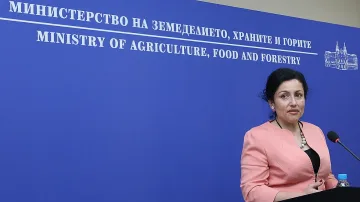 Браншови организации скочиха в подкрепа на Танева