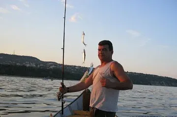 Морето пълно със сафрид, цената падна