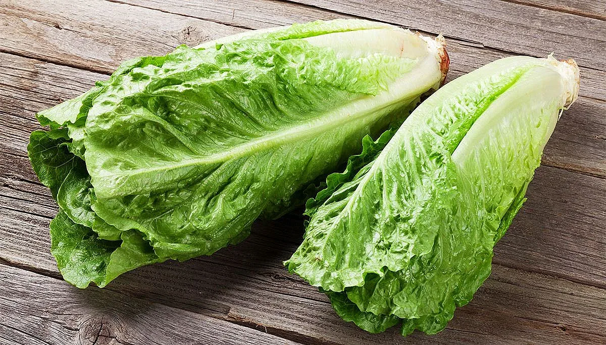 В сезона на марулите – ето ги най-хитрите трикове за тях