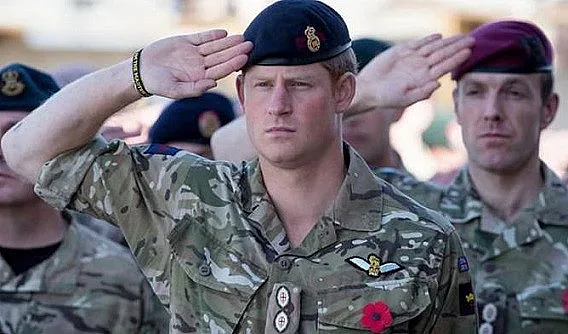 Хари тъжи за армията