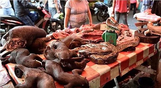 Коронавирусът не бил от прилепите в Ухан