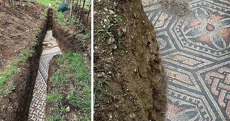 Прекрасни римски мозайки изскочиха изпод лозе