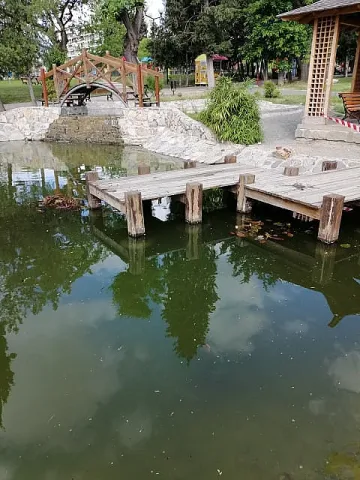 Водни лилии създават романтика в японското езерце в Стара Загора