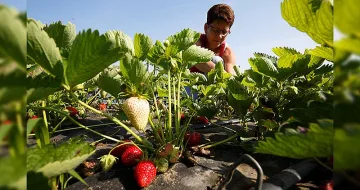 Вижте това преди да тръгнете на работа в чужбина