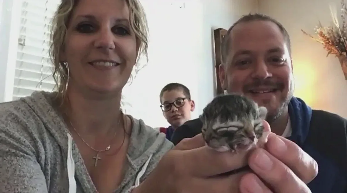 Роди се котенце с две лица