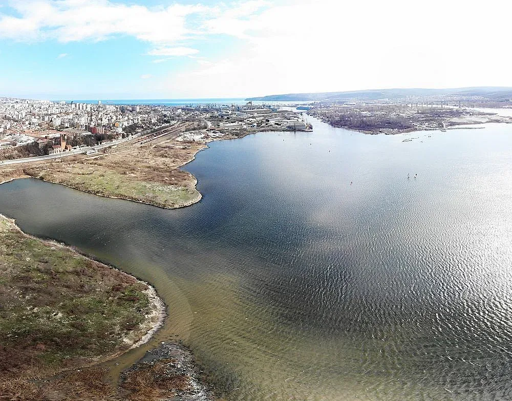 Експерти с реакция за умрялата риба във Варненско