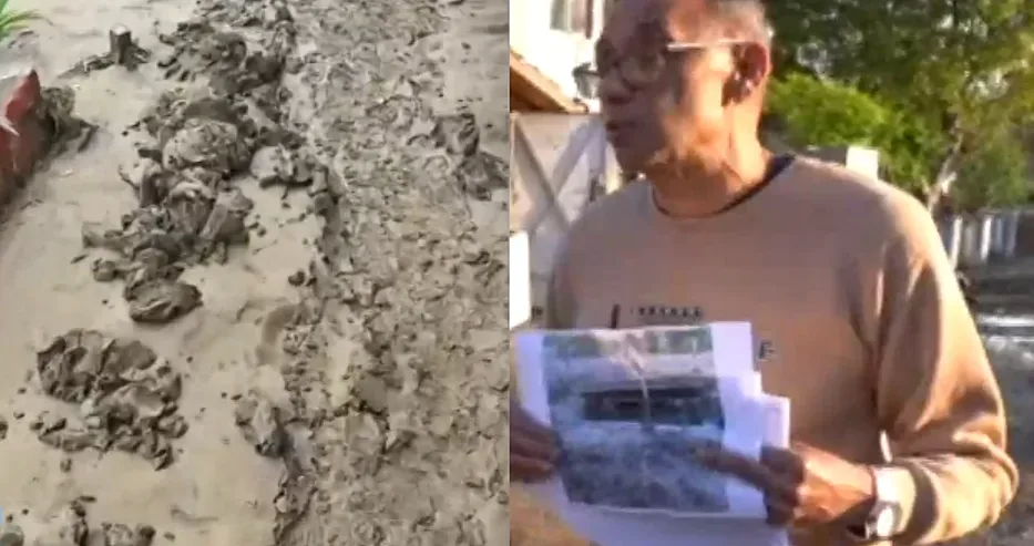 Кошмарен разказ. Вадели деца от прозорците във Вълчедръм