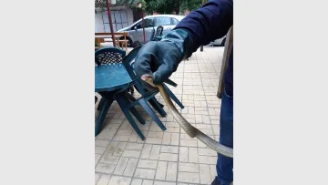 Змии стряскат минувачите в Пазарджик