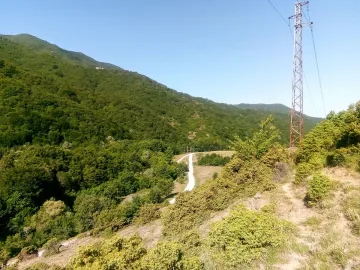 Стартираха теренни проучвания на ЧЕЗ за защита живота на птиците