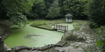 Вицът на нощта