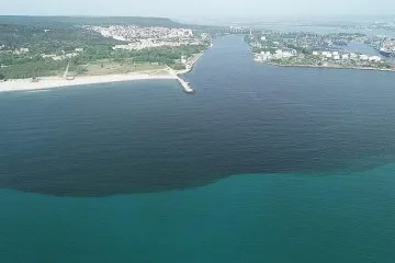 Мъртва риба във Варненския залив