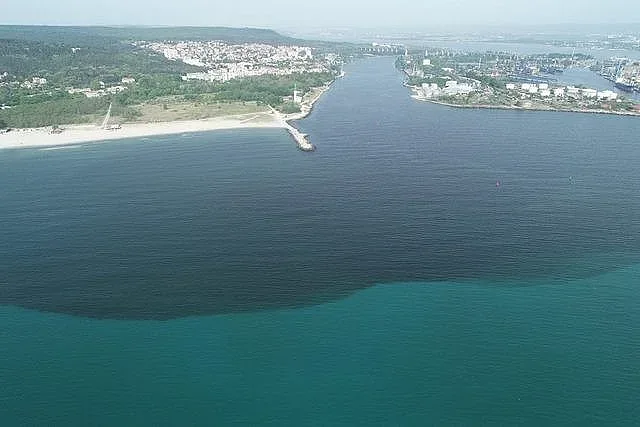Мъртва риба във Варненския залив