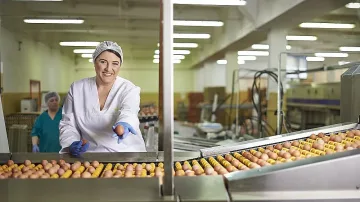 Kaufland предлага основно български яйца от 6 региона