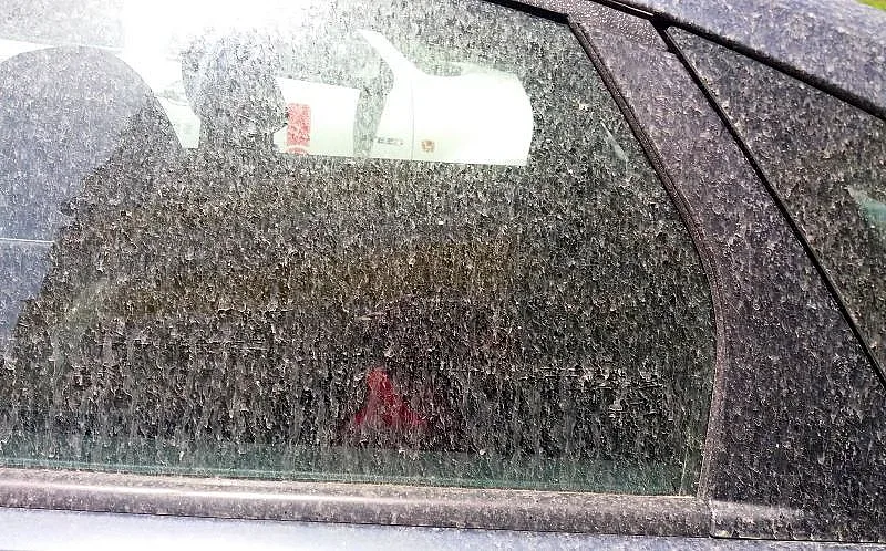 Пустинен пясък засипа страната