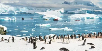 Живот без коронавирус? Само в Антарктида