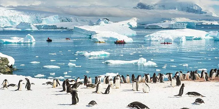 Живот без коронавирус? Само в Антарктида