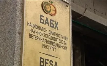 Унищожават над 900 кг храна