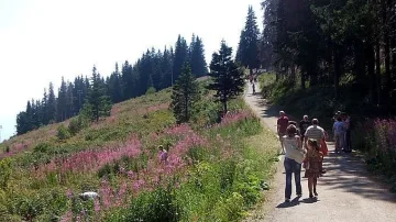 Ето как ще се разхождаме на Витоша