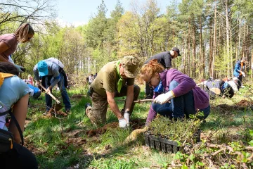 Нова "Синя гора" засадиха служителите на KBC Group в България