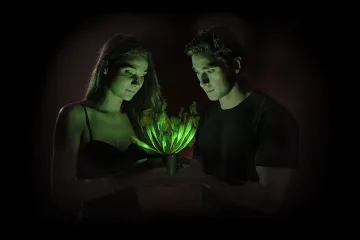 Създадоха светещо в тъмното растение