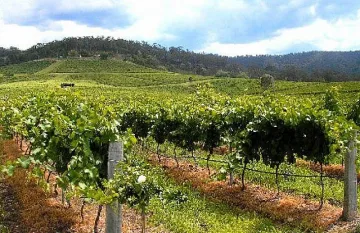 Европа с извънредна подкрепа за агросектора