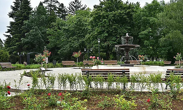 Вижте какво е разрешено при разходка в парка
