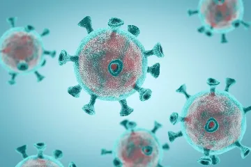 Обогатете английския си речник с нови заразни думи
