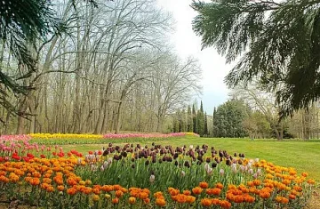 Ето ботаническата градина, която не може да видите