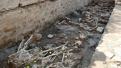 Китайска пандемия загробва България през ХIV в.