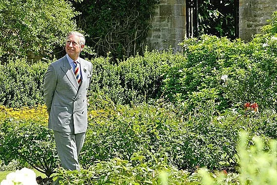 Принц Чарлз закусва с плодове и пропуска обеда