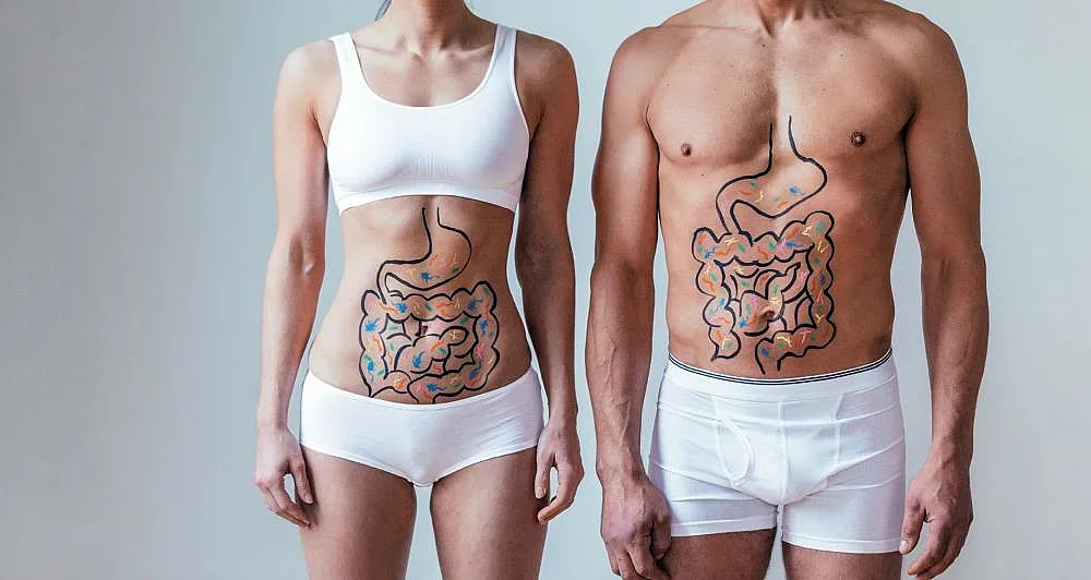 Вижте къде и как се формира имунитетът ви