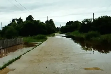 Обилни дъждове в Хасковска област