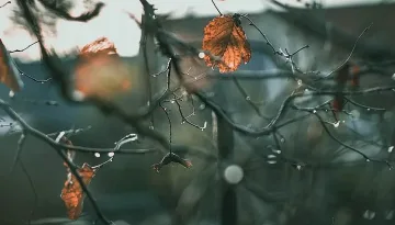 Последен ден лошо време, топлото иде