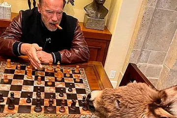 Арни играе шах с магаренцето