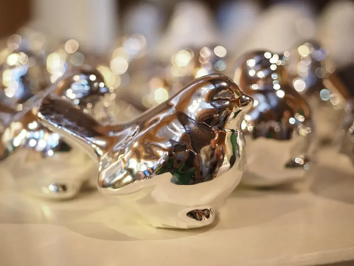 Стана ясно кои страни имат най-големите запаси от сребро