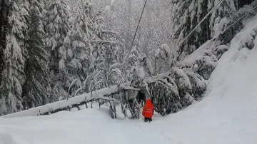Снежен кошмар. В тази община останаха на тъмно