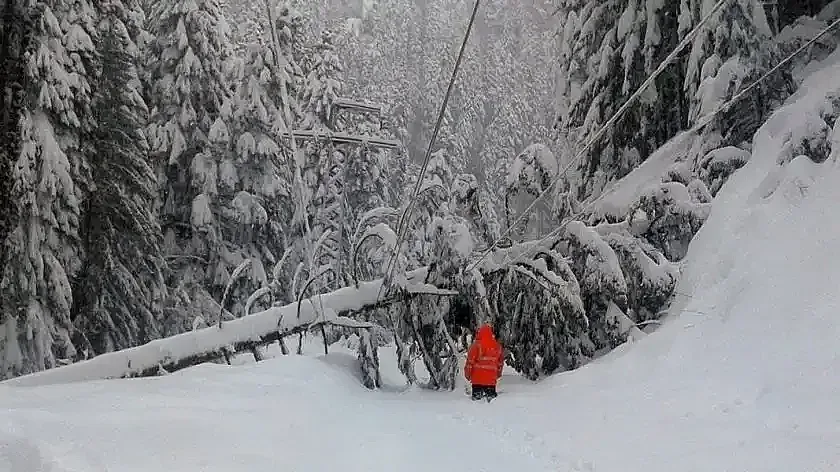 Снежен кошмар. В тази община останаха на тъмно