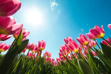 Слънчев вторник, затопля се