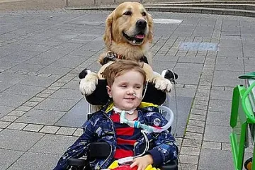 Как голдън ретривър спаси дете