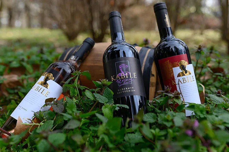 УСПЕХ! 9 медала за "Вила Ямбол" в Париж