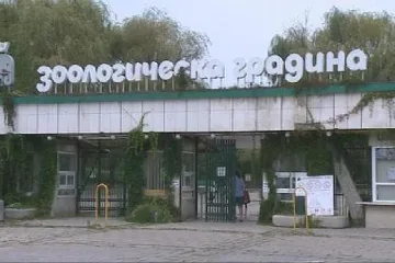 Софийският зоопарк безплатен на 3 март