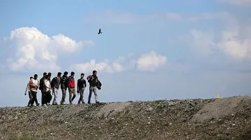 300 мигранти в Турция тръгнаха, засега към Гърция