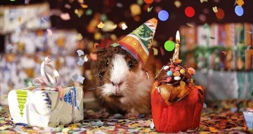 Ето кои празнуват рожден ден на 28 февруари