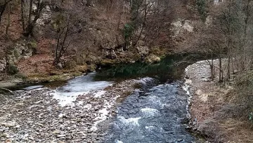Повдигнаха обвинения за замърсяването на р. Юговска