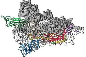 Китай: Коронавирусът не тръгва от Ухан