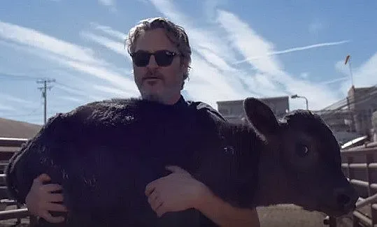 Жокера спаси крава и телето й от кланицата