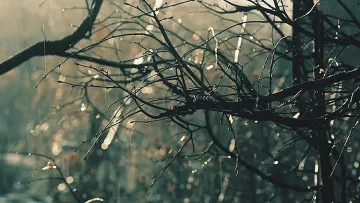 Сняг и дъжд ще се редуват в петък