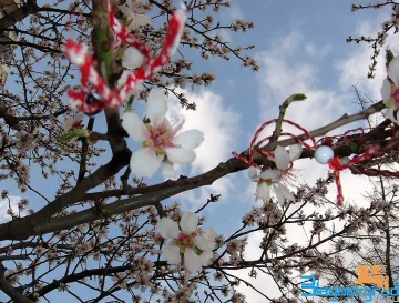 Пролет или зима ни чака до Баба Марта